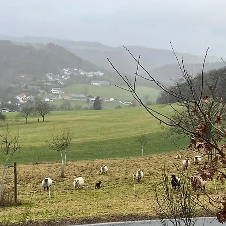 Sabine's Gaestehaus Гостевой дом 3*