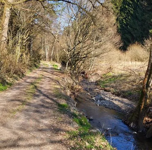 בית הארחה Sabine's Gaestehaus
