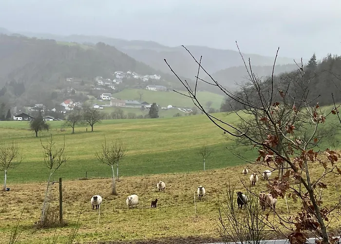 Sabine's Gaestehaus בית הארחה 3*